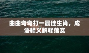 曲曲弯弯打一最佳生肖，成语释义解释落实