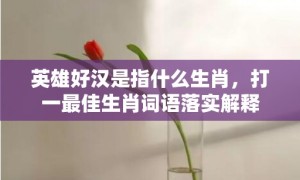 英雄好汉是指什么生肖，打一最佳生肖词语落实解释