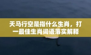 天马行空是指什么生肖，打一最佳生肖词语落实解释