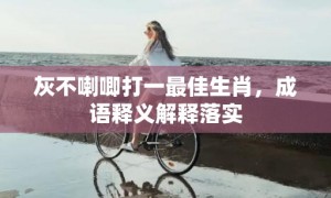 灰不喇唧打一最佳生肖，成语释义解释落实