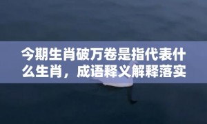 今期生肖破万卷是指代表什么生肖，成语释义解释落实