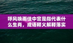 呼风唤雨佳中宫是指代表什么生肖，成语释义解释落实