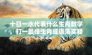 十日一水代表什么生肖数字，打一最佳生肖成语落实释义