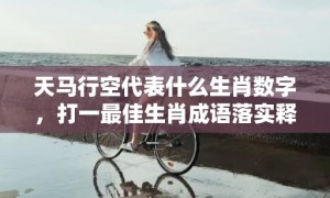 天马行空代表什么生肖数字，打一最佳生肖成语落实释义