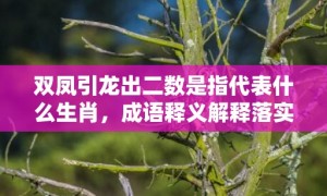 双凤引龙出二数是指代表什么生肖，成语释义解释落实