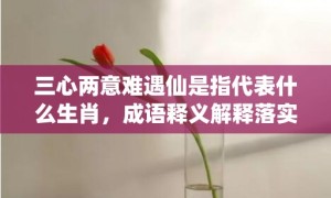 三心两意难遇仙是指代表什么生肖，成语释义解释落实