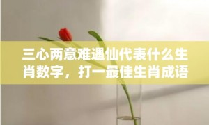 三心两意难遇仙代表什么生肖数字，打一最佳生肖成语落实释义