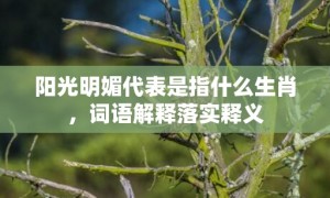 阳光明媚代表是指什么生肖，词语解释落实释义