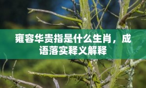 雍容华贵指是什么生肖，成语落实释义解释