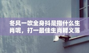 冬风一吹全身抖是指什么生肖呢，打一最佳生肖释义落实