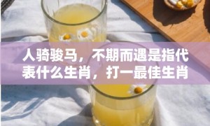 人骑骏马，不期而遇是指代表什么生肖，打一最佳生肖落实释义