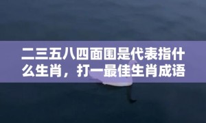 二三五八四面围是代表指什么生肖，打一最佳生肖成语解释