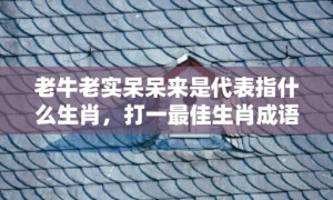 老牛老实呆呆来是代表指什么生肖，打一最佳生肖成语解释