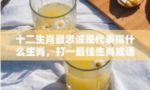 十二生肖最忠诚是代表指什么生肖，打一最佳生肖成语解释