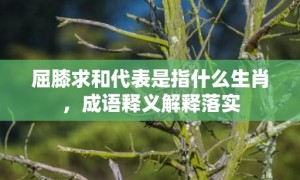 屈膝求和代表是指什么生肖，成语释义解释落实