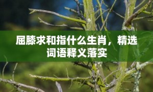 屈膝求和指什么生肖，精选词语释义落实