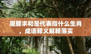 屈膝求和是代表指什么生肖，成语释义解释落实