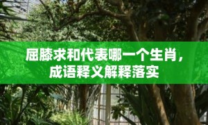 屈膝求和代表哪一个生肖，成语释义解释落实