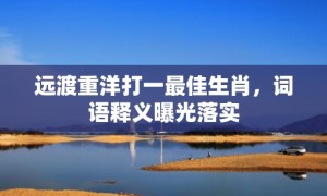 远渡重洋打一最佳生肖，词语释义曝光落实
