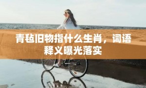 青毡旧物指什么生肖，词语释义曝光落实