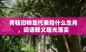 青毡旧物是代表指什么生肖，词语释义曝光落实