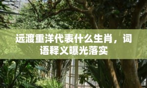 远渡重洋代表什么生肖，词语释义曝光落实