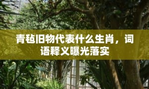 青毡旧物代表什么生肖，词语释义曝光落实