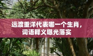 远渡重洋代表哪一个生肖，词语释义曝光落实