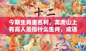 今期生肖重名利，龙虎山上有高人是指什么生肖，成语释义解释落实