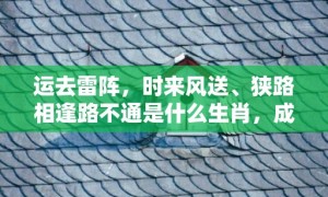 运去雷阵，时来风送、狭路相逢路不通是什么生肖，成语释义解释落实