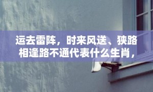 运去雷阵，时来风送、狭路相逢路不通代表什么生肖，成语释义解释落实