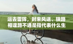 运去雷阵，时来风送、狭路相逢路不通是指代表什么生肖，打一最佳生肖词语，成语释义解释落实