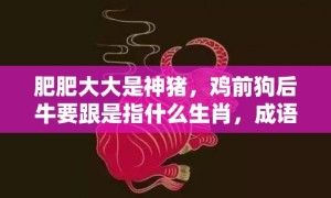 肥肥大大是神猪，鸡前狗后牛要跟是指什么生肖，成语释义解释落实