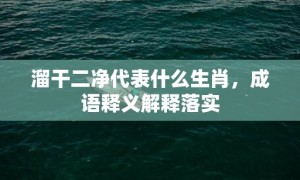 溜干二净代表什么生肖，成语释义解释落实