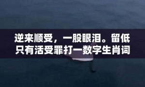 逆来顺受，一股眼泪。留低只有活受罪打一数字生肖词语，成语释义解释落实