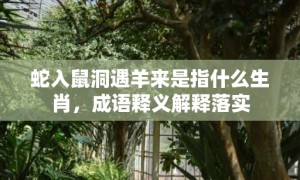 蛇入鼠洞遇羊来是指什么生肖，成语释义解释落实