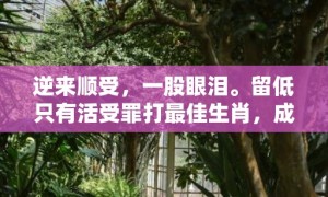 逆来顺受，一股眼泪。留低只有活受罪打最佳生肖，成语解释落实释义