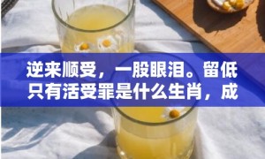 逆来顺受，一股眼泪。留低只有活受罪是什么生肖，成语释义解释落实