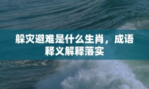 躲灾避难是什么生肖，成语释义解释落实