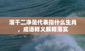 溜干二净是代表指什么生肖，成语释义解释落实