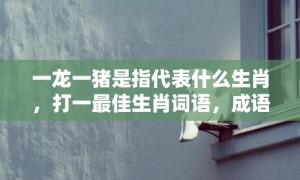 一龙一猪是指代表什么生肖，打一最佳生肖词语，成语释义解释落实