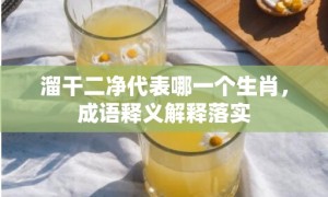 溜干二净代表哪一个生肖，成语释义解释落实