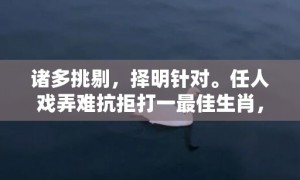 诸多挑剔，择明针对。任人戏弄难抗拒打一最佳生肖，成语释义解释落实