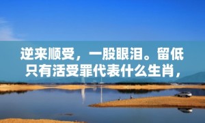 逆来顺受，一股眼泪。留低只有活受罪代表什么生肖，成语释义解释落实