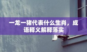 一龙一猪代表什么生肖，成语释义解释落实