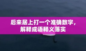 后来居上打一个准确数字，解释成语释义落实