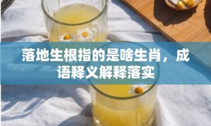 落地生根指的是啥生肖，成语释义解释落实