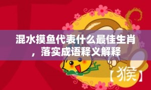 混水摸鱼代表什么最佳生肖，落实成语释义解释