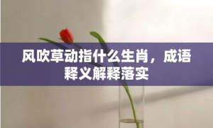 风吹草动指什么生肖，成语释义解释落实