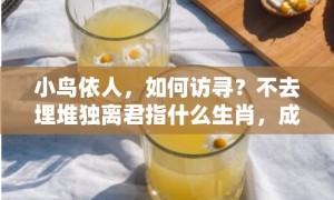 小鸟依人，如何访寻？不去埋堆独离君指什么生肖，成语释义解释落实